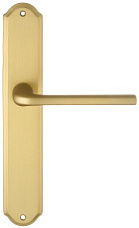 Дверная ручка Extreza "TERNI" (Терни) 320 на планке PL01 матовая латунь F02