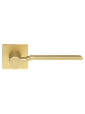 product-card