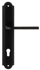 Дверная ручка Extreza "TERNI" (Терни) 320 на планке PL03-CYL-85 черный матовый F22