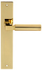 Дверная ручка на планке Extreza STEM-PL13-F01-F06 (STEM 135) полированная латунь / латунь PVD
