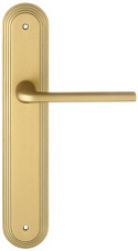 Дверная ручка Extreza "TERNI" (Терни) 320 на планке PL05 матовая латунь F02