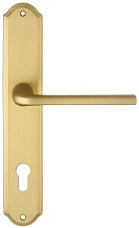 Дверная ручка Extreza "TERNI" (Терни) 320 на планке PL01-CYL-85 матовая латунь F02