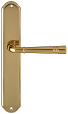 Дверная ручка Extreza "GUSTO" 334 на планке PL01 полированная латунь F01